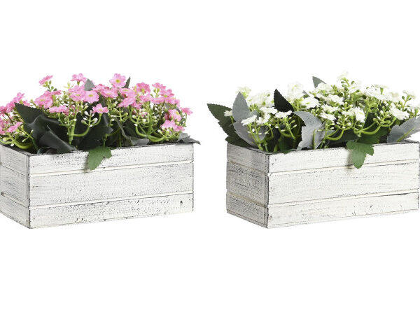 PLANTES SUR BOIS 24X16X16.5- JA-199477
